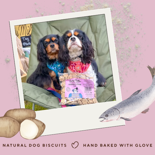 Betty Miller Grain-Free Whitefish & Potato Paws