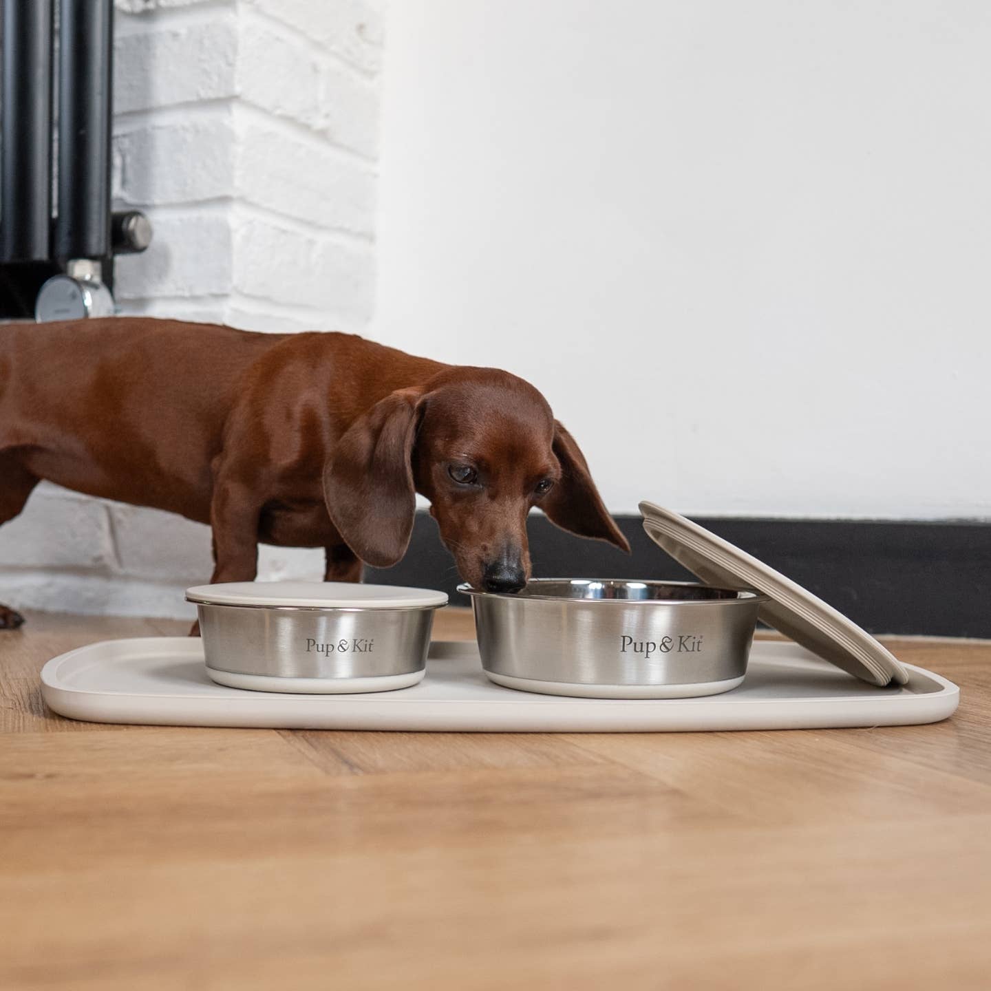 Lid-it Pet Bowl with Stay-Fresh Lid