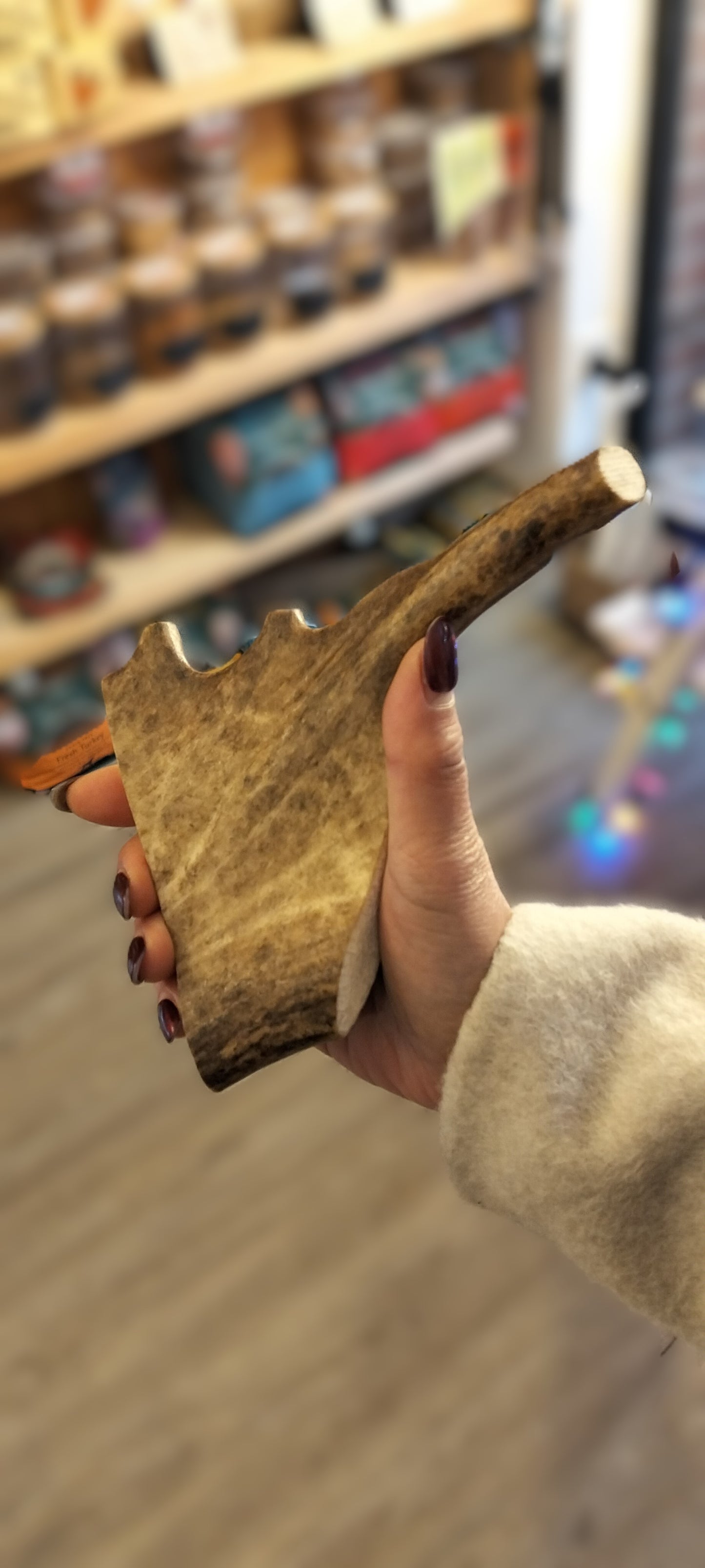 Fallow deer antlers.