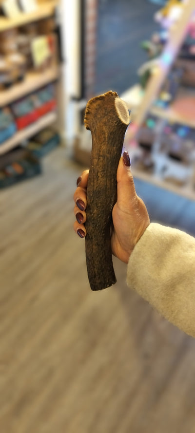 Red deer antler