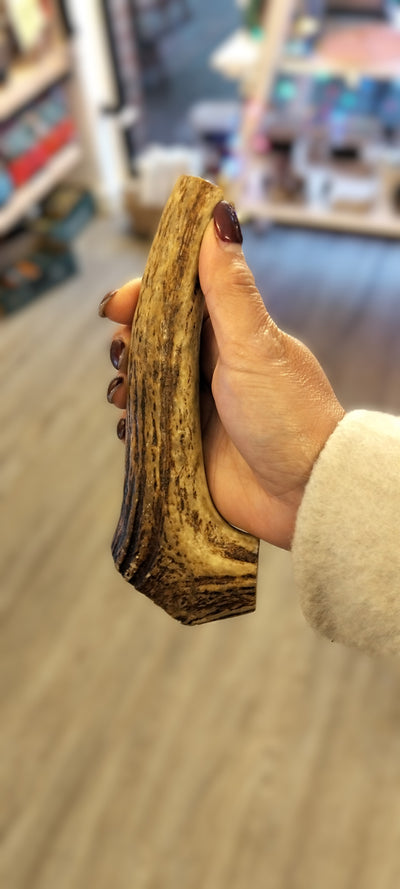 Moose/Elk Antlers