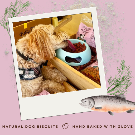 Betty Miller Grain-Free Salmon & Dill Mini-Paws