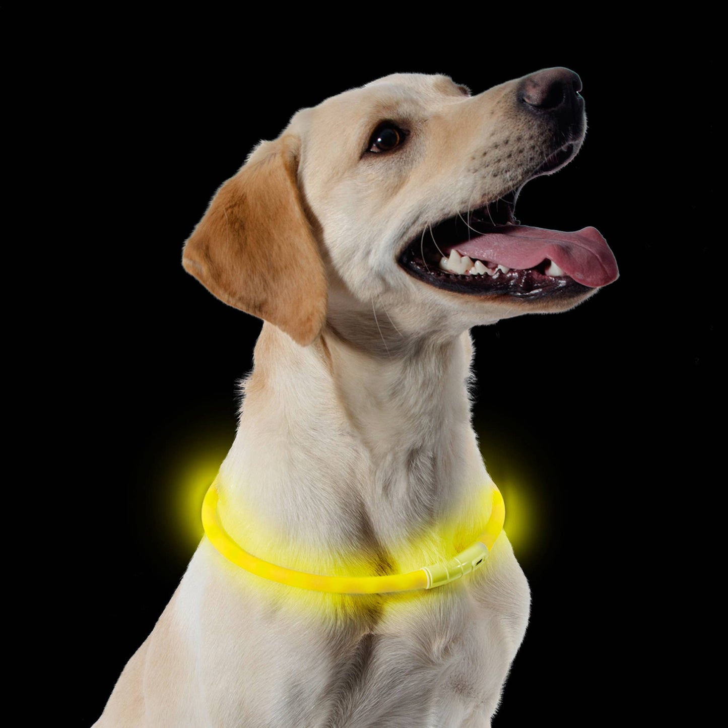 Rechargeable Flashing Band