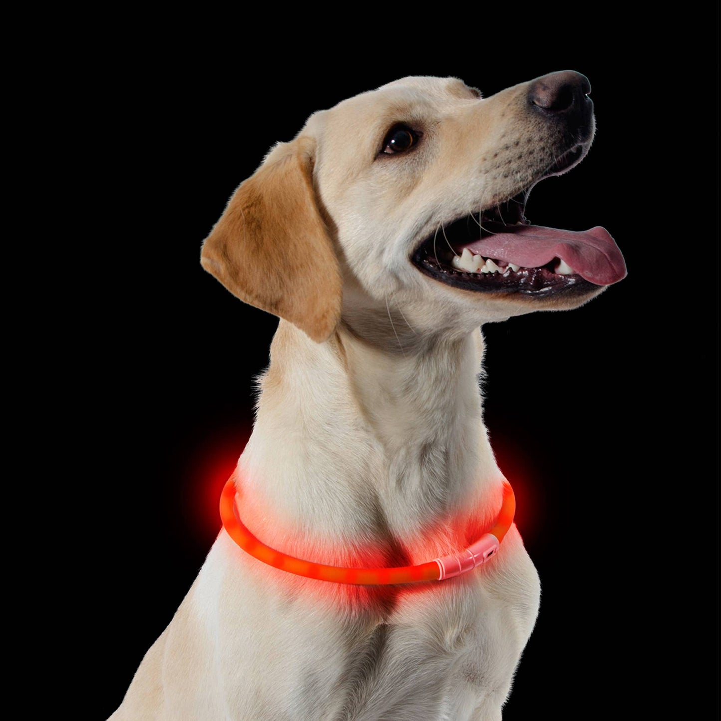 Rechargeable Flashing Band